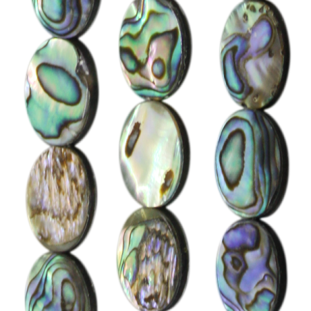 Abalone, oval, flach, L16 B11 H3mm