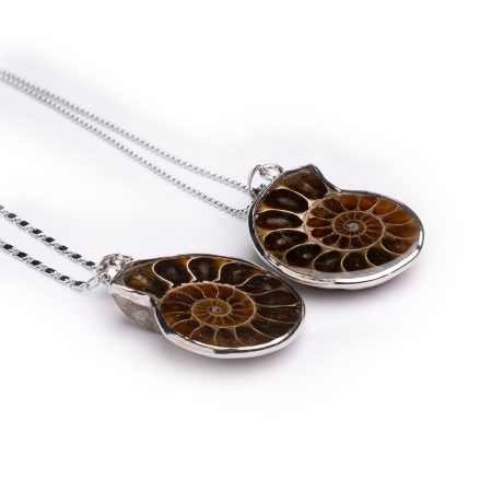 Set: 2 Anhänger aus Ammoniten – “Partnerschmuck”